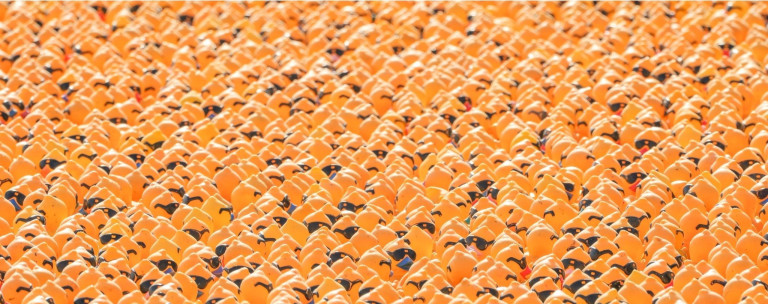 Viele gelbe Badeenten mit Sonnenbrillen, Nahaufnahme, bilder-nobilis-web-2