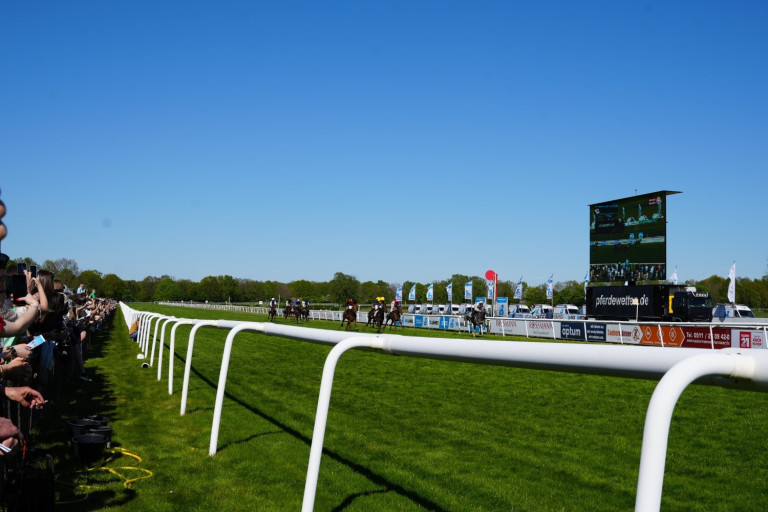 Pferderennen auf einer grünen Galopprennbahn bei blauem Himmel, mit mehreren Pferden und Jockeys im Rennen