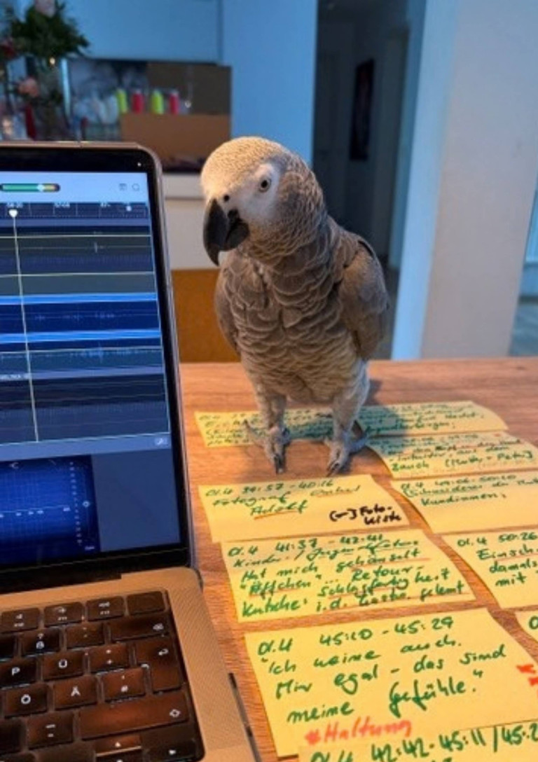 Papagei steht neben Laptop mit Audioprogramm und Notizzetteln – audiograf-3