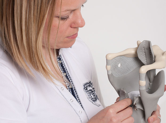 Frau untersucht anatomisches Modell in medizinischem Kontext Frau in weißem Hemd untersucht ein anatomisches Modell