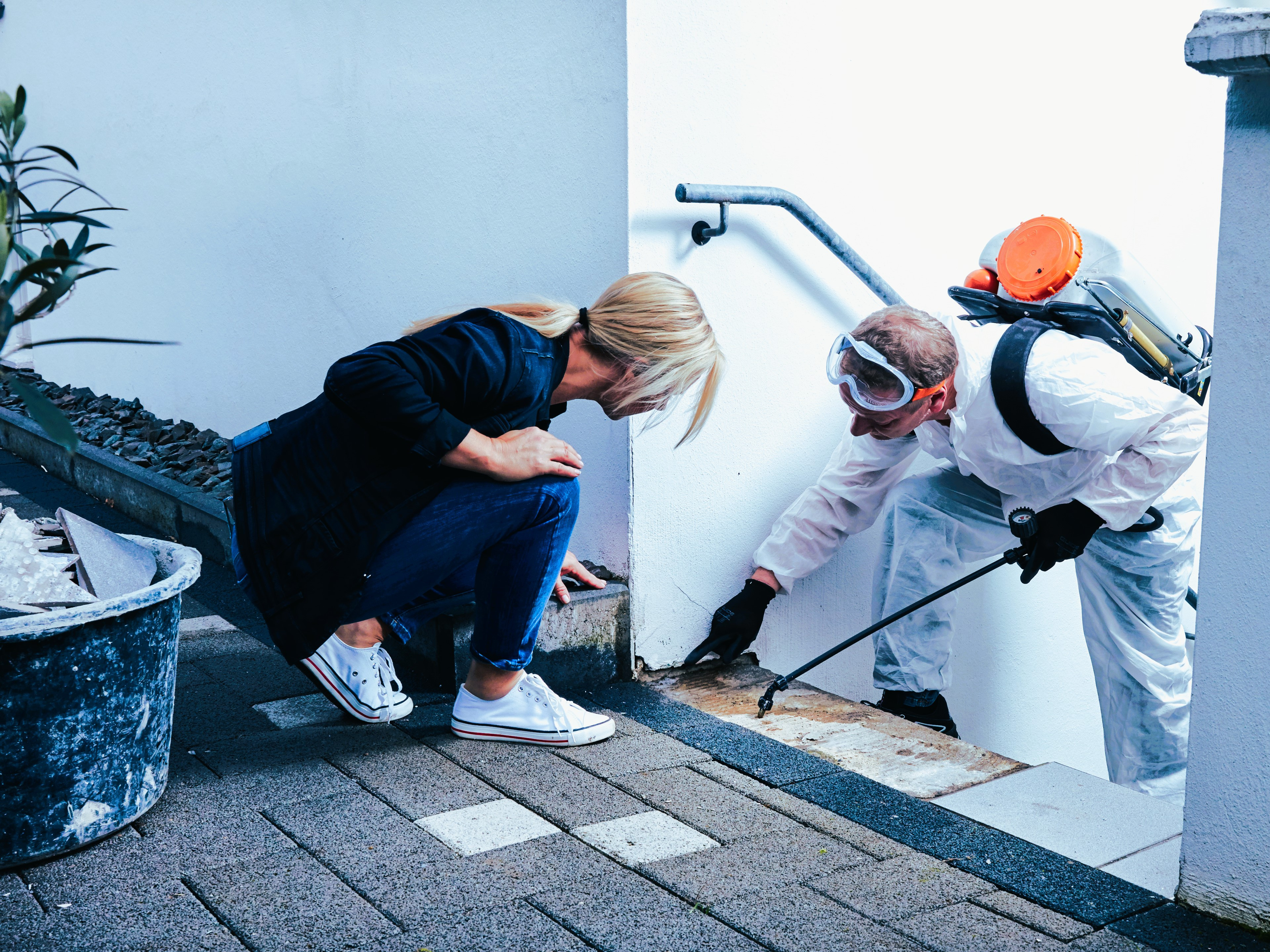 MDS Hygiene Service bei der Schädlingsbekämpfung an einer Treppe
