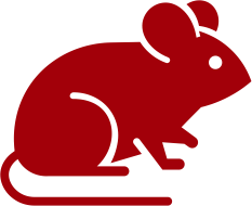 Rote Silhouette einer Maus nach rechts schauend