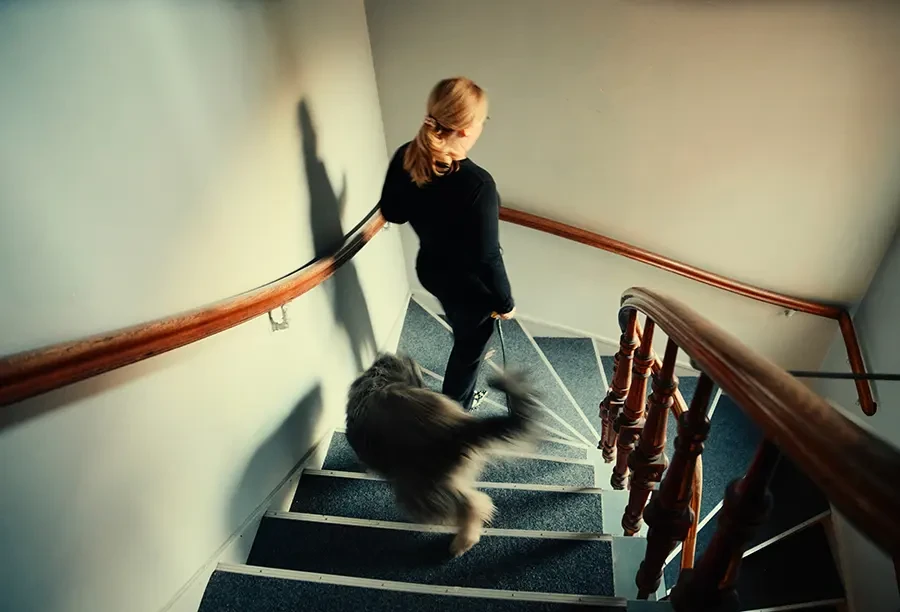 Jeanette Bazan Schmidt geht mit einem Hund die Treppe hinunter