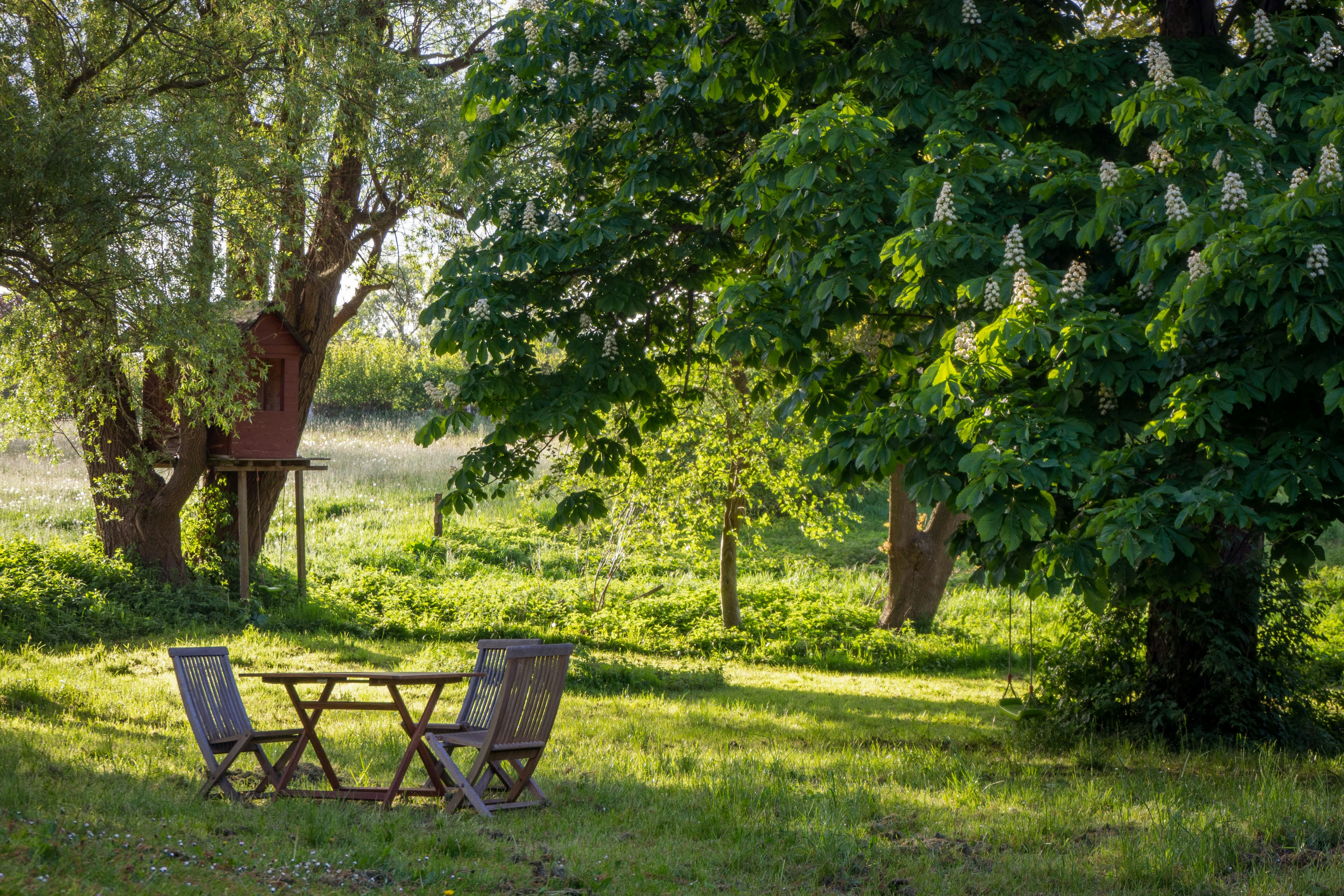Garten mit Baumhaus und Gartenmöbeln im Sonnenlicht Garten mit Baumhaus und Gartenmöbeln im Sonnenlicht