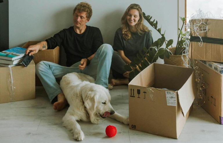 Hund und Umzugskarton – Umzug mit Haustier leicht gemacht Hund liegt vor Umzugskarton mit rotem Ball, Umzug mit Haustier