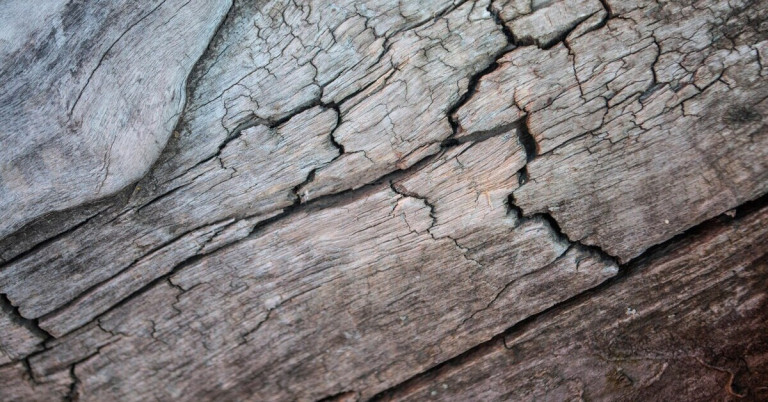 Nahaufnahme von Holz mit Rissen und sichtbarer Maserung