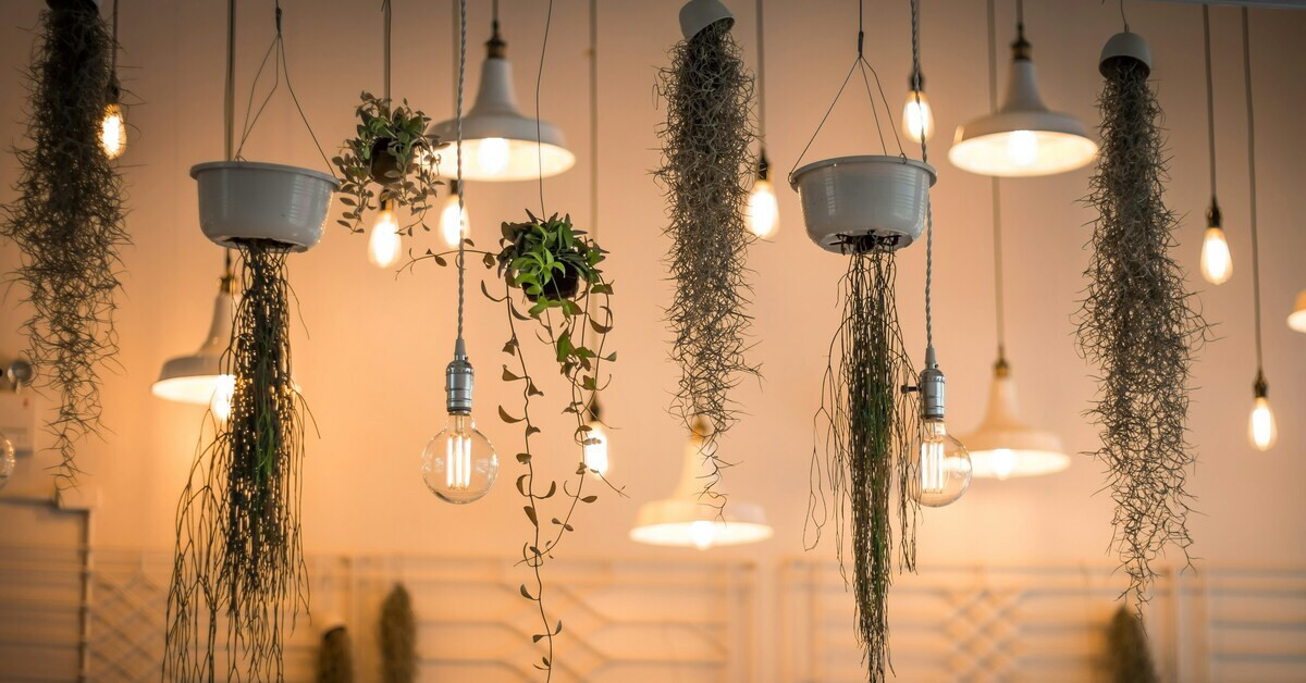 Hängende Lampen und Pflanzen als moderne Raumdekoration