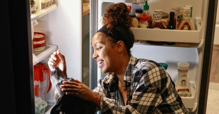 Frau mit Hund vor offenem Kühlschrank in der Küche Frau steht vor offenem Kühlschrank und füttert ihren Hund