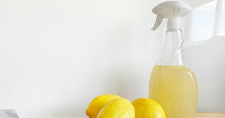 Zitronenreiniger selber machen – natürlicher Reiniger mit Zitronen Zitronenreiniger in Sprühflasche mit frischen Zitronen davor
