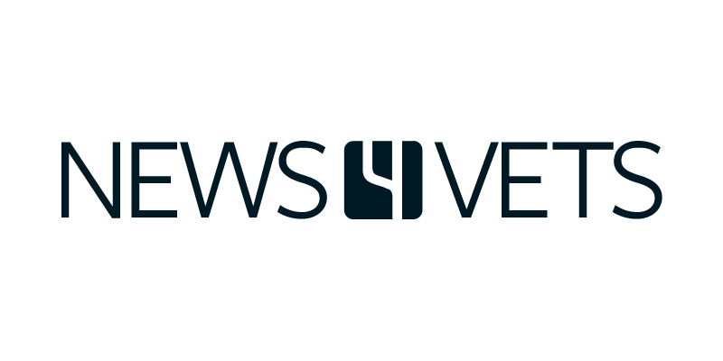 Logo des NFV in RGB-Farben
