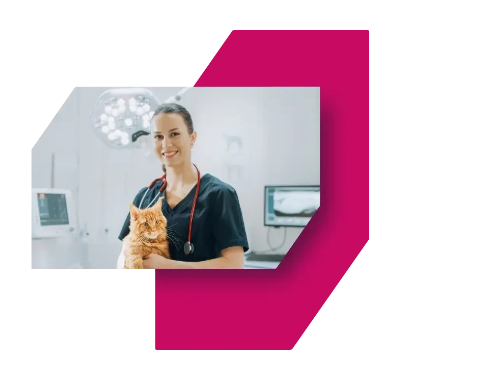Tierärztin von Coco Vet mit einer Katze in der Praxis