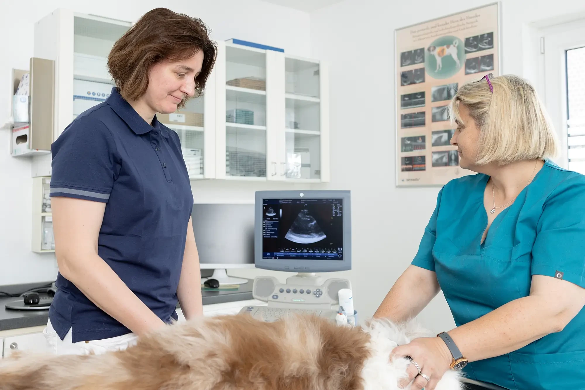 Untersuchung in der Fachtierarztpraxis für Kleintiere Dr. Daniela Galke mit Ultraschallgerät Untersuchung eines Hundes in der Fachtierarztpraxis für Kleintiere Dr. Daniela Galke mit Ultraschallgerät