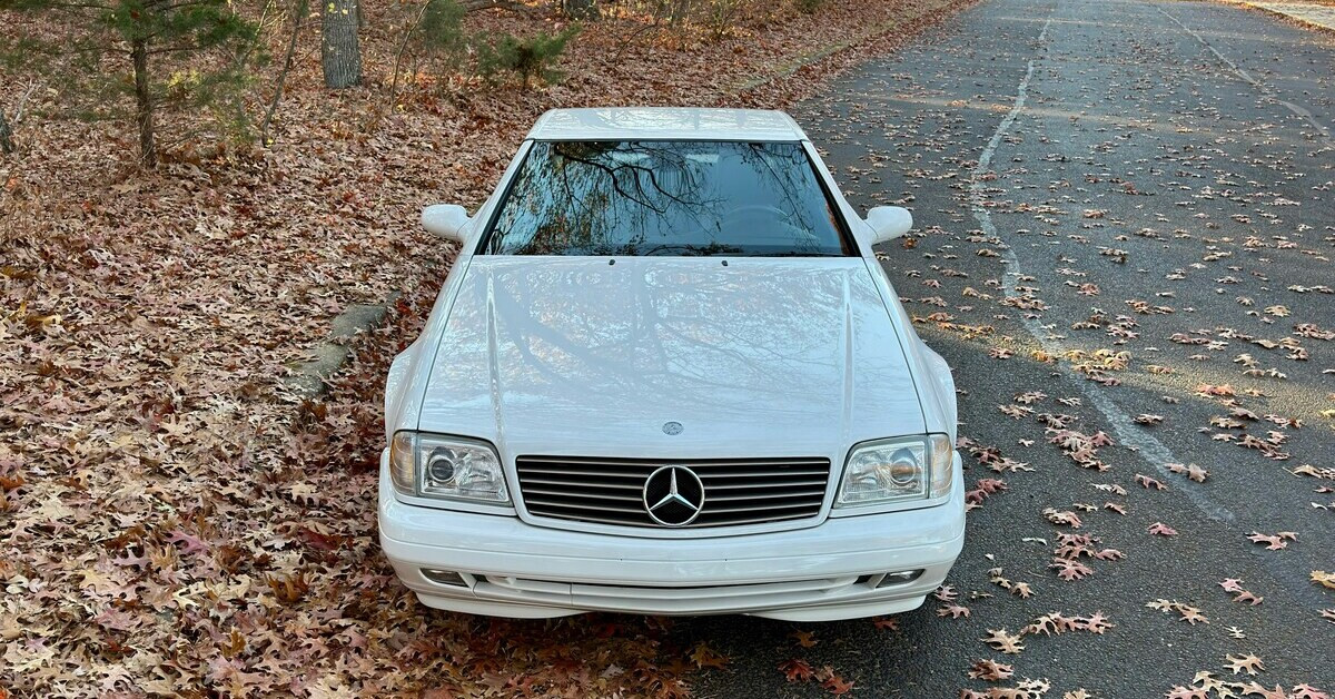 Weißer Mercedes-Benz im Wald, TÜV überziehen, Laub auf Straße