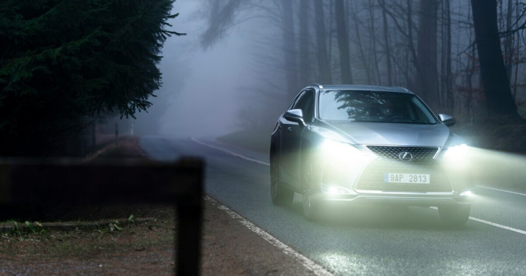 Auto im Nebel auf einer Waldstraße mit eingeschaltetem Licht