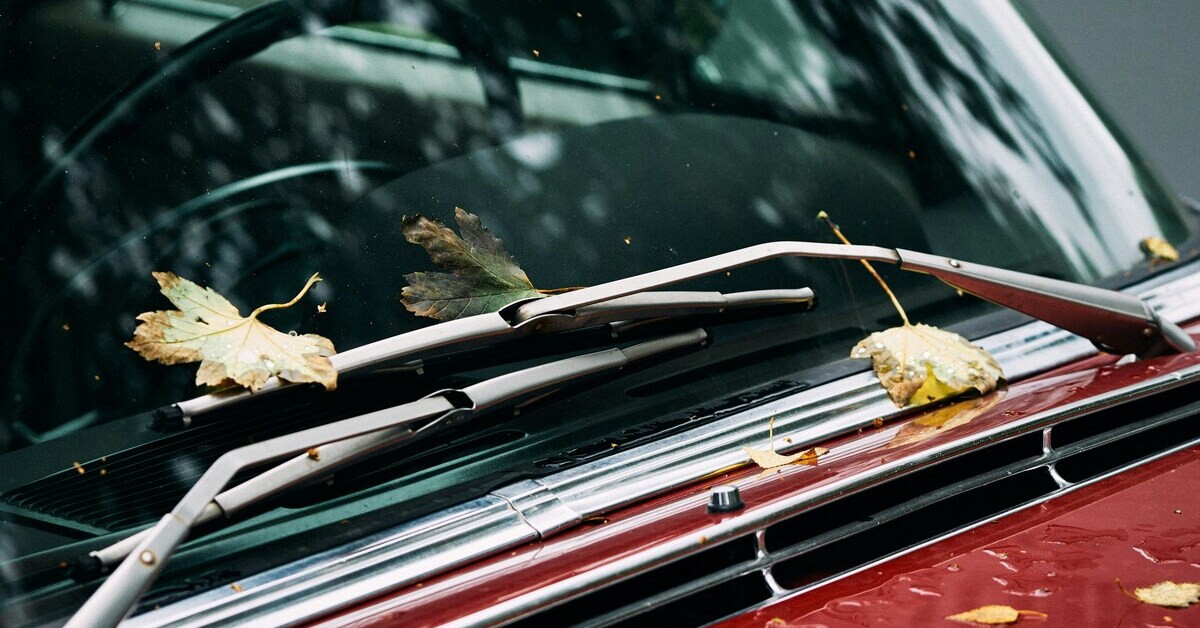 Scheibenwischer eines Autos mit Herbstlaub auf der Windschutzscheibe