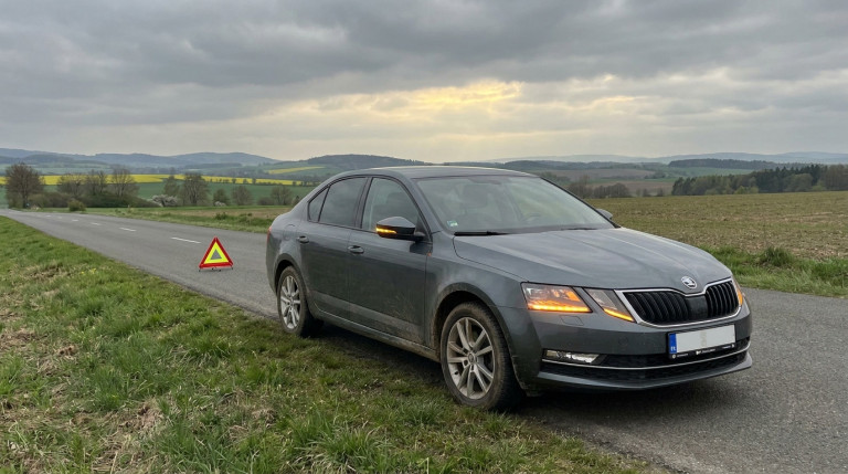 Auto mit Warndreieck am Straßenrand