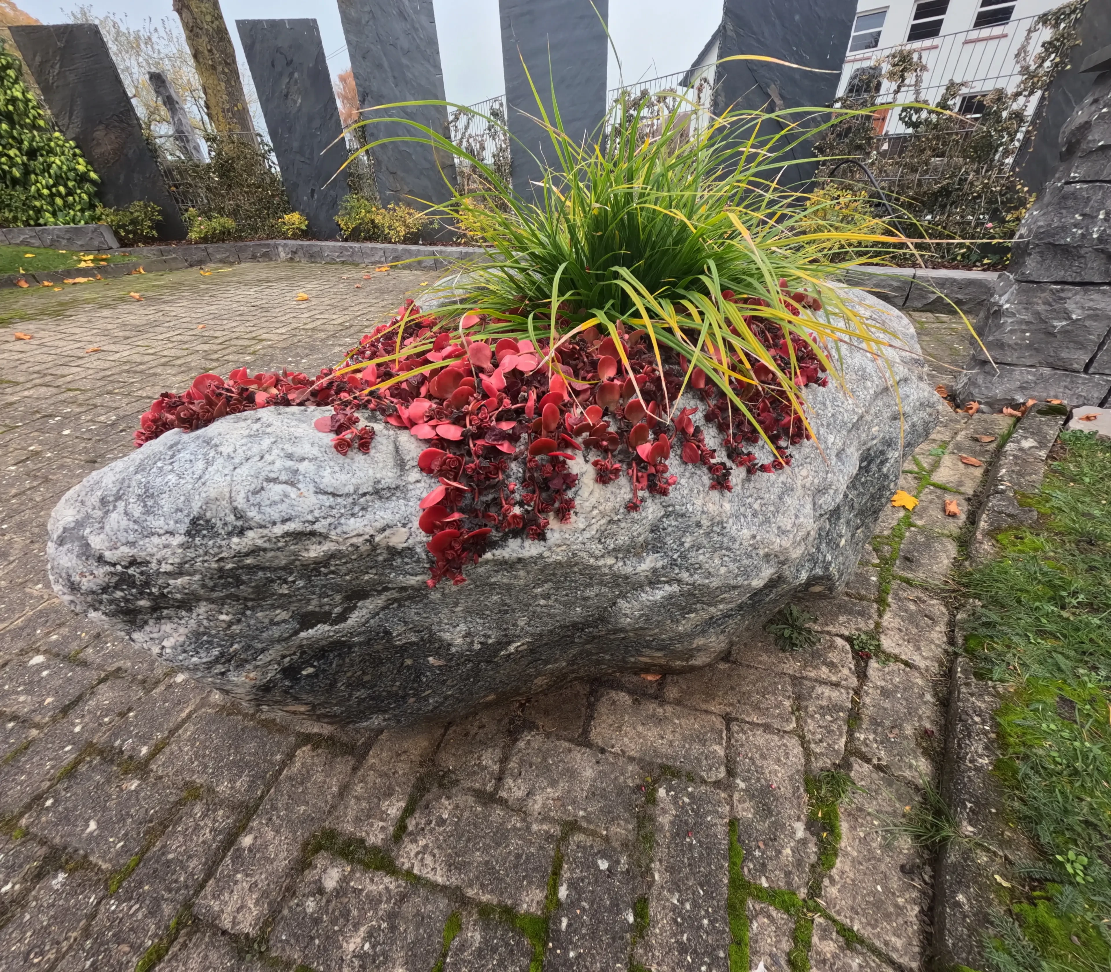 Findling bepflanzt mit roten und grünen Pflanzen auf einem gepflasterten Platz
