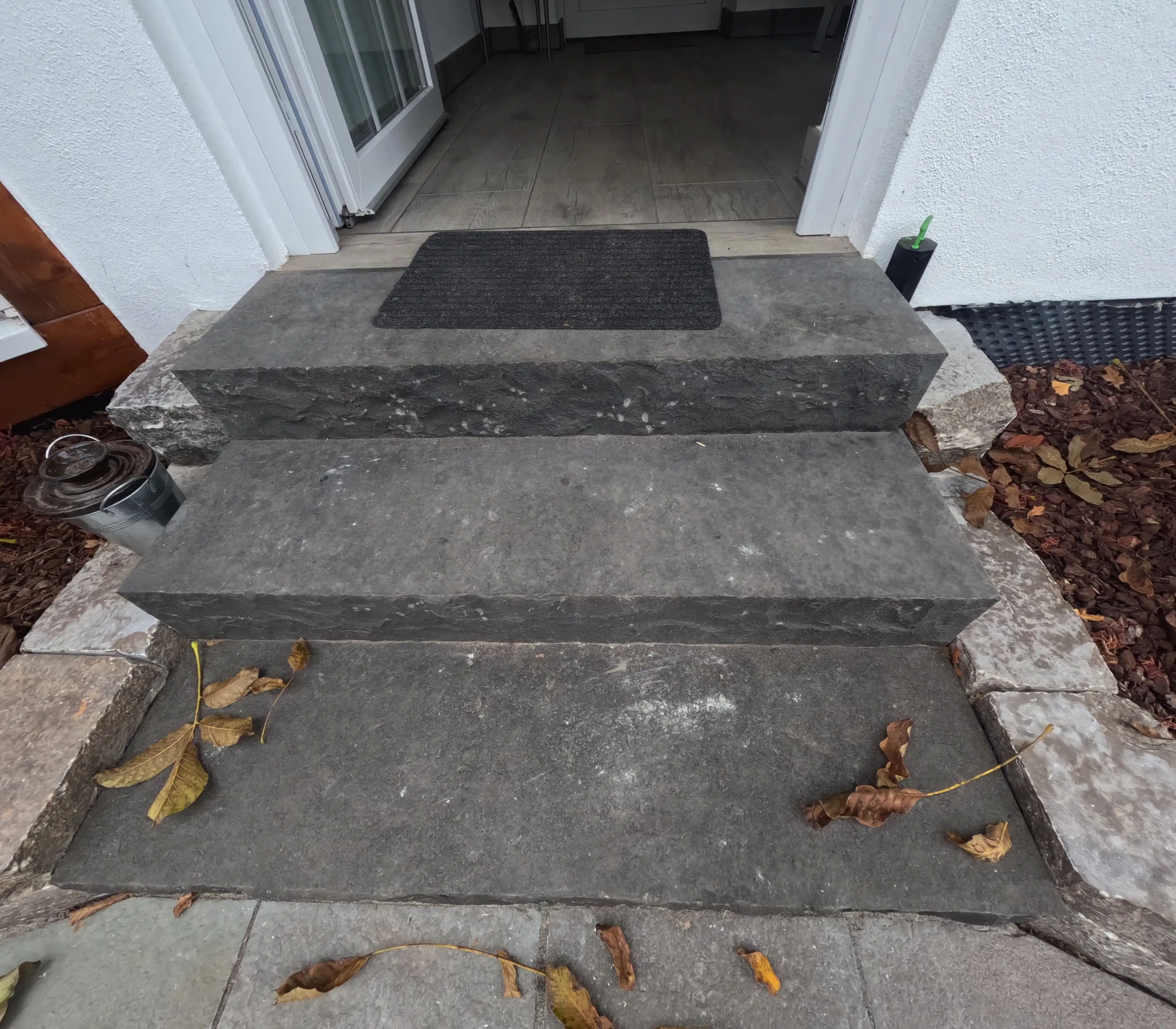 Steintreppe mit herbstlichen Blättern vor einer Haustür, gp010245-jpg