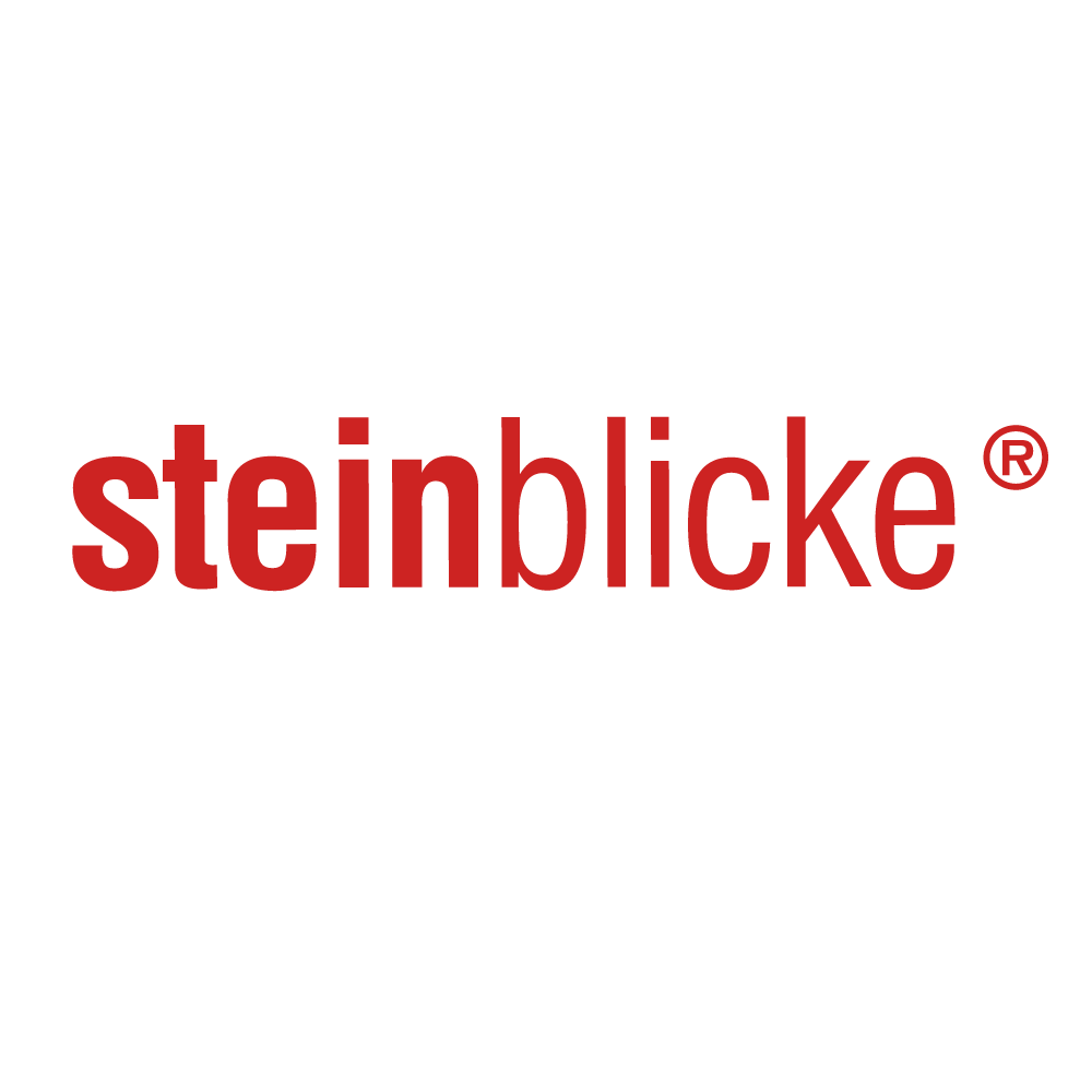 Logo von steinblicke in roter Schrift auf weißem Hintergrund