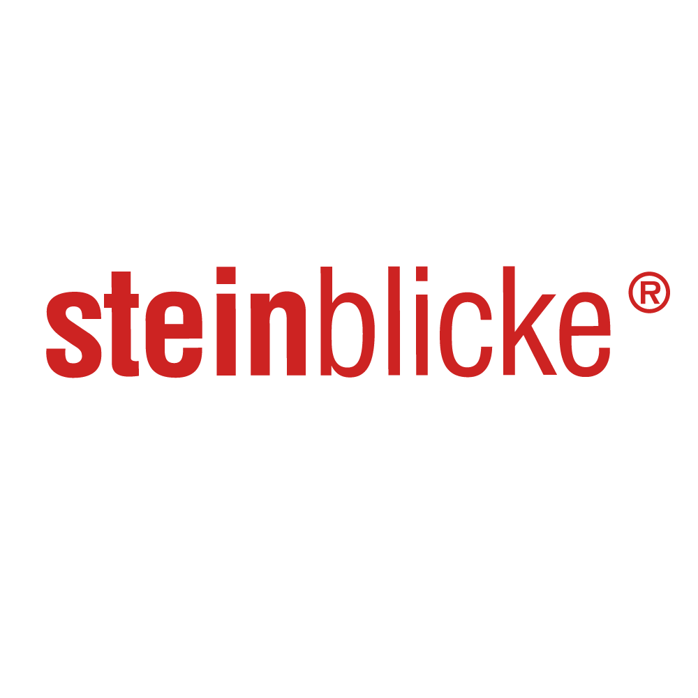 Logo von steinblicke in roter Schrift auf transparentem Hintergrund