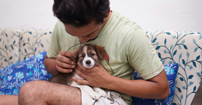 Besitzer mit seinem Hund – liebevolle Bindung zwischen Mensch und Haustier Besitzer streichelt seinen kleinen Hund auf dem Sofa