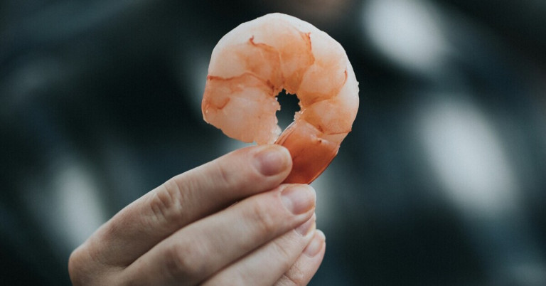 Hand hält Garnele – Nahaufnahme einer frischen Garnele in der Hand Hand hält eine frische Garnele