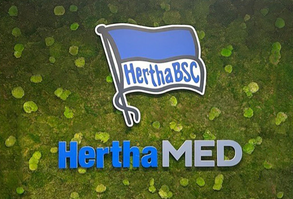 HerthaMED Logo mit Hertha BSC Flagge auf grünem Hintergrund