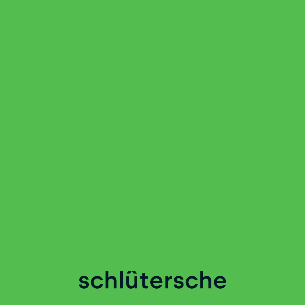 Schlütersche Logo auf grünem Hintergrund, Logo-Platzierung Variante 3