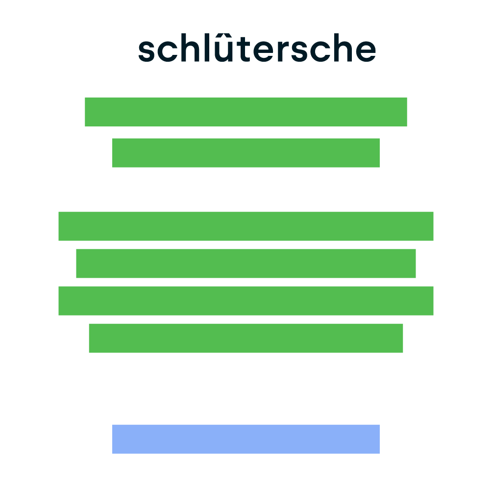 Schlütersche Logo Platzierung Beispiel – Brandbase Version 1