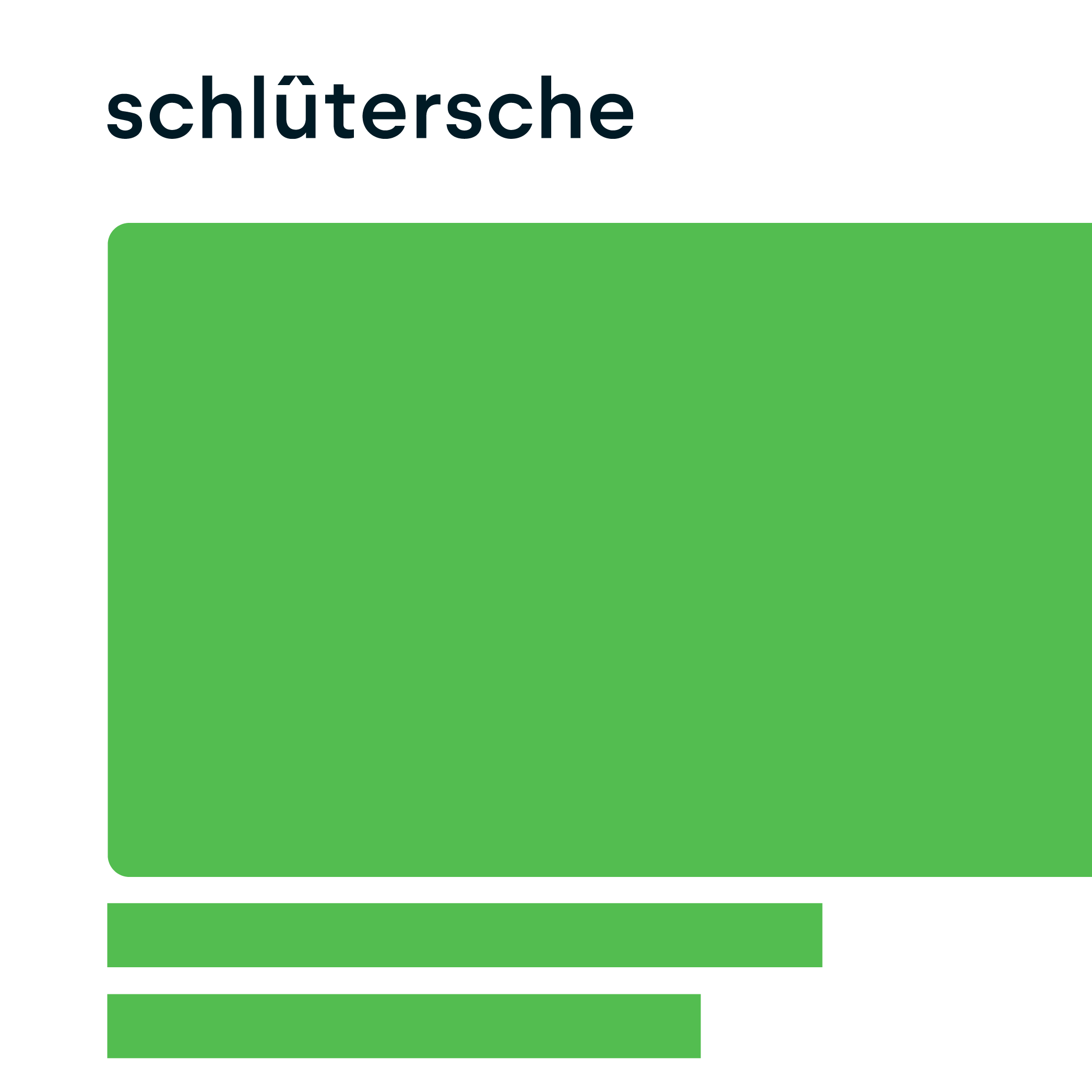 Schlütersche Logo Platzierung – Beispiel für Markenlogo-Integration