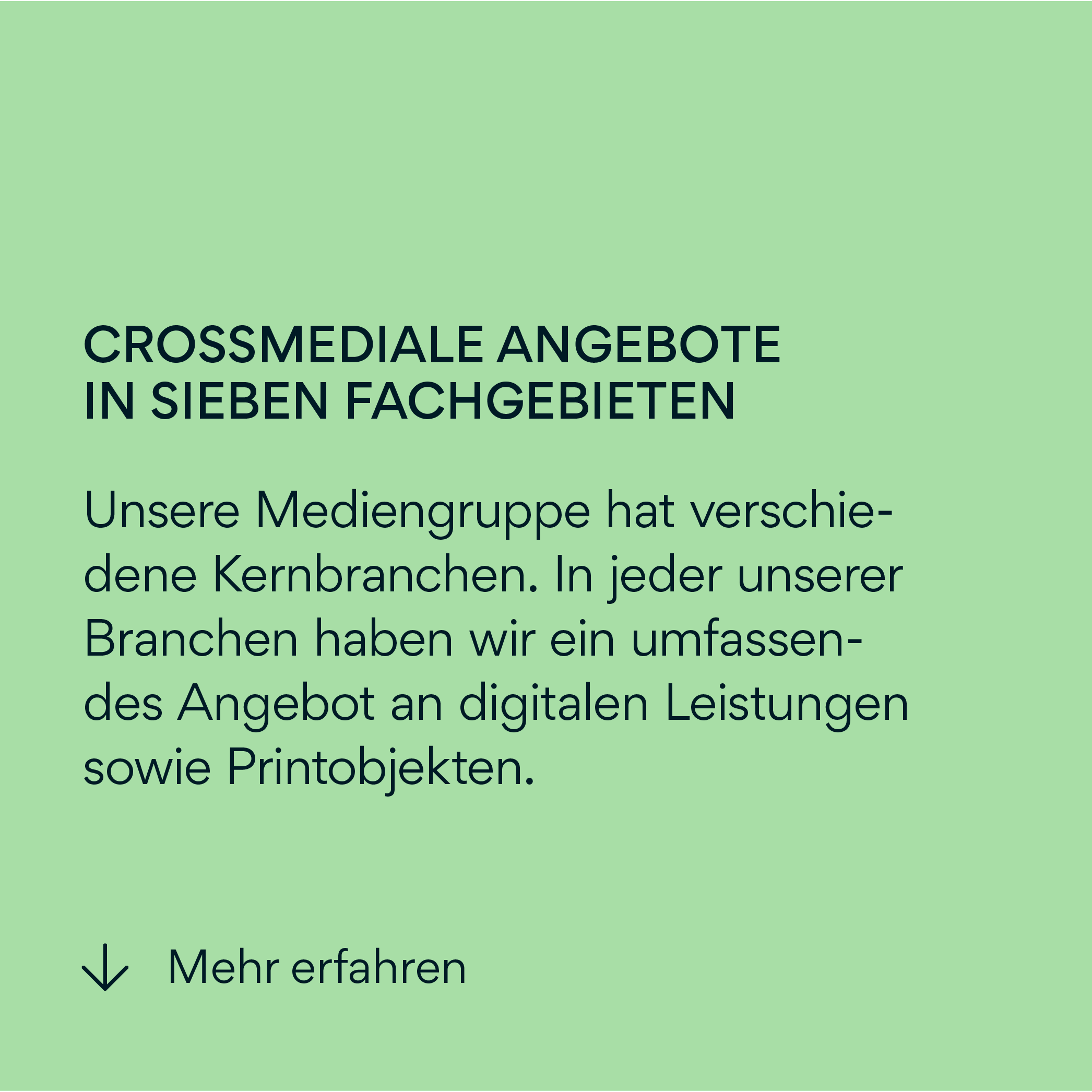 Beispiel fr Typografie-Hierarchie: Crossmediale Angebote in sieben Fachgebieten, digitale Leistungen und Printobjekte, SC Brandbase