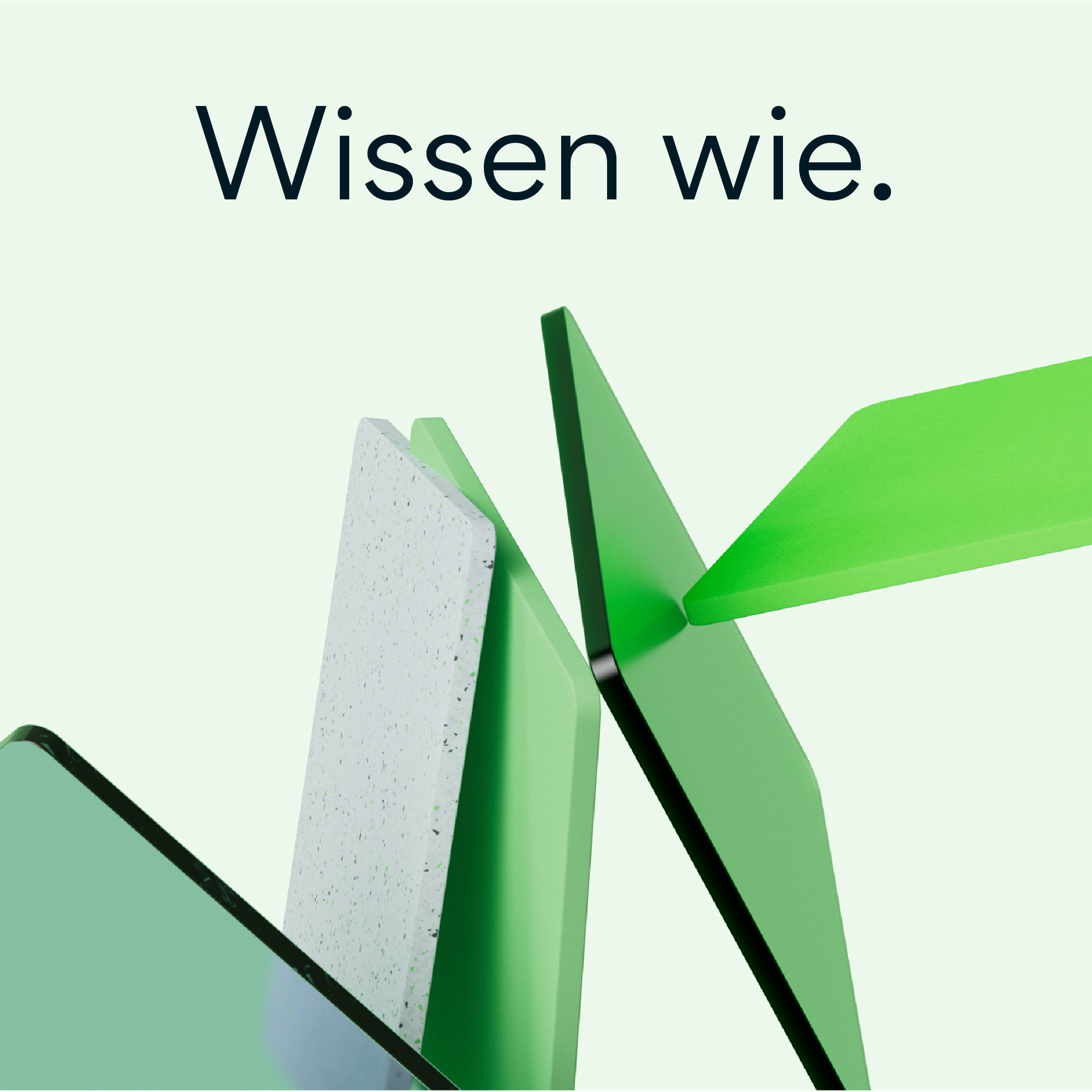 sc brandbase Claim Wissen wie mit abstrakten grünen Formen auf hellem Hintergrund