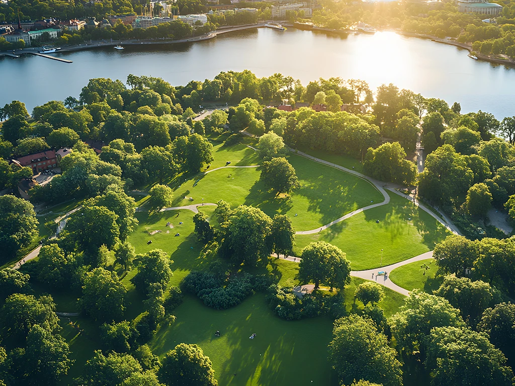 Luftaufnahme von großzügigen Grünflächen mit Bäumen und Spazierwegen am Wasser bei Sonnenschein