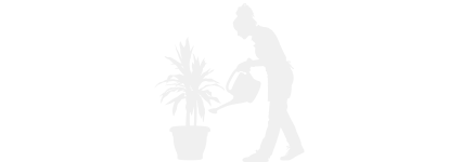 Illustration einer Person, die eine Zimmerpflanze gießt