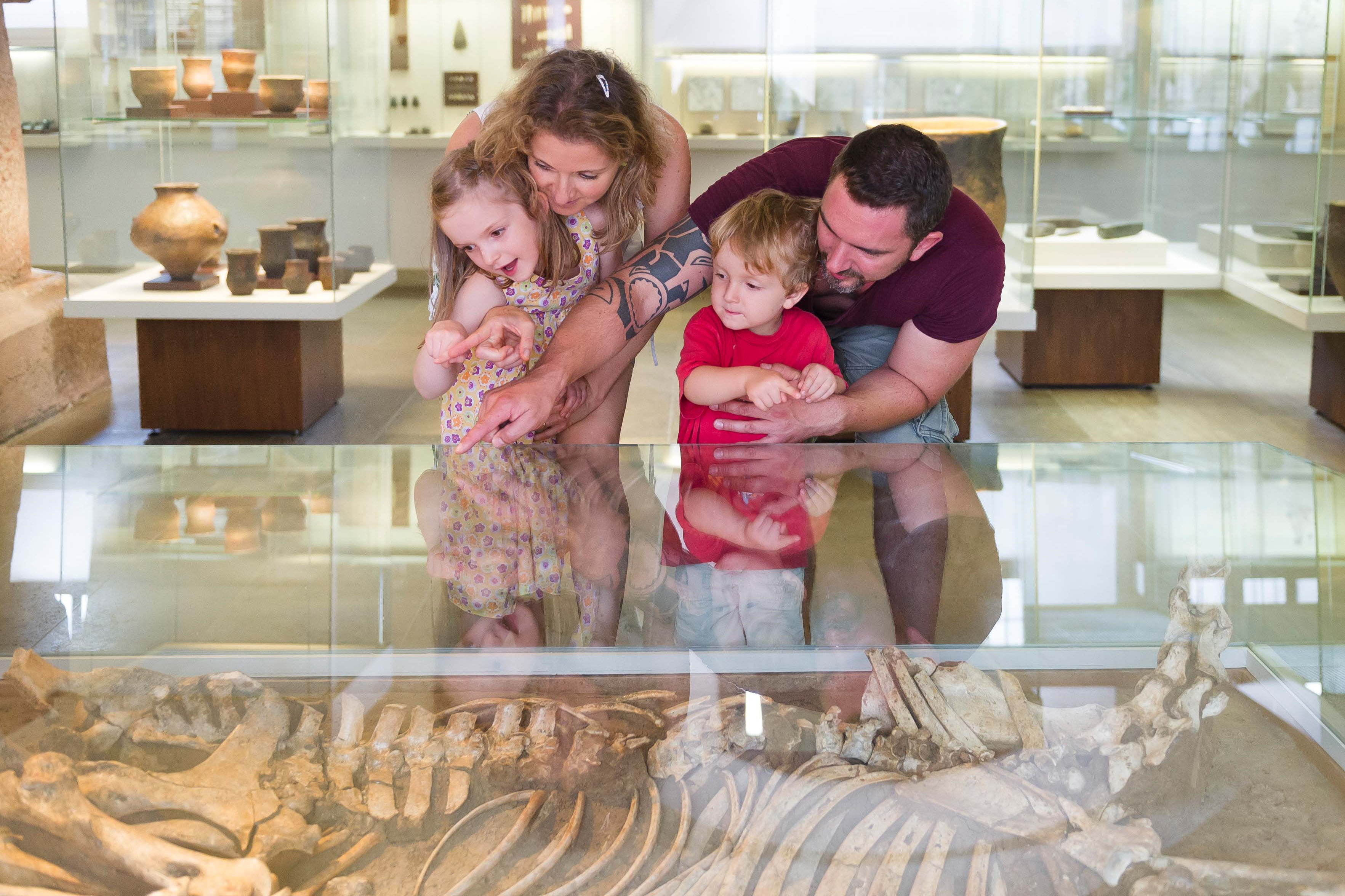 Familie betrachtet Skelett-Ausstellung im Museum hinter Glasvitrine
