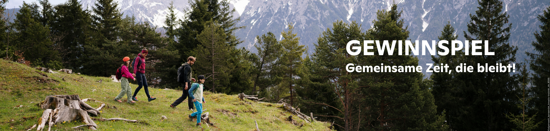 Berglandschaft mit Nadelbäumen und schneebedecktem Gipfel im Hintergrund, 1916x456px-lp-slidertitel-5
