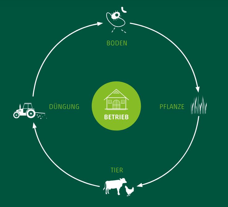 Kreislauf der Landwirtschaft mit Boden, Pflanze, Tier und Düngung – Emiko Agrar Grafik