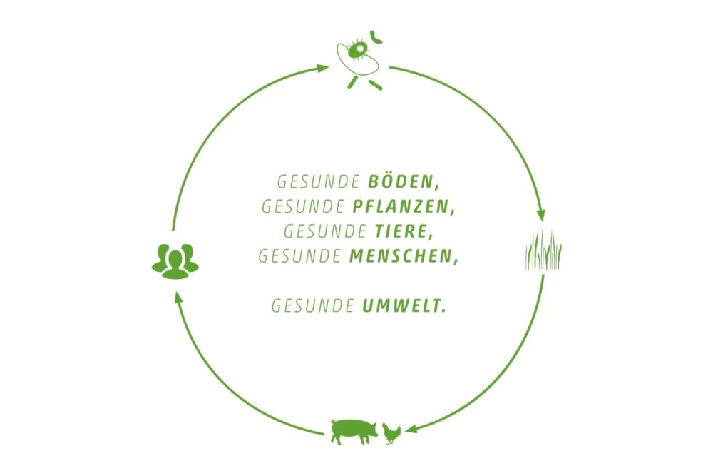 EM Kreislauf für Nachhaltigkeit: Gesunde Böden, Pflanzen, Tiere, Menschen und Umwelt im Kreislauf dargestellt