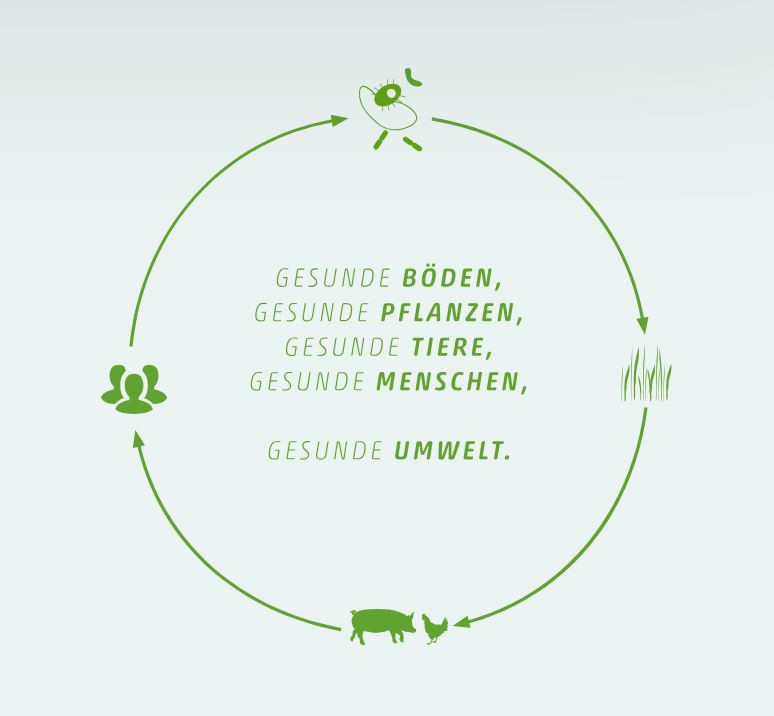 Kreislaufgrafik zu gesund mit EM: Gesunde Böden, Pflanzen, Tiere, Menschen und Umwelt durch effektive Mikroorganismen.