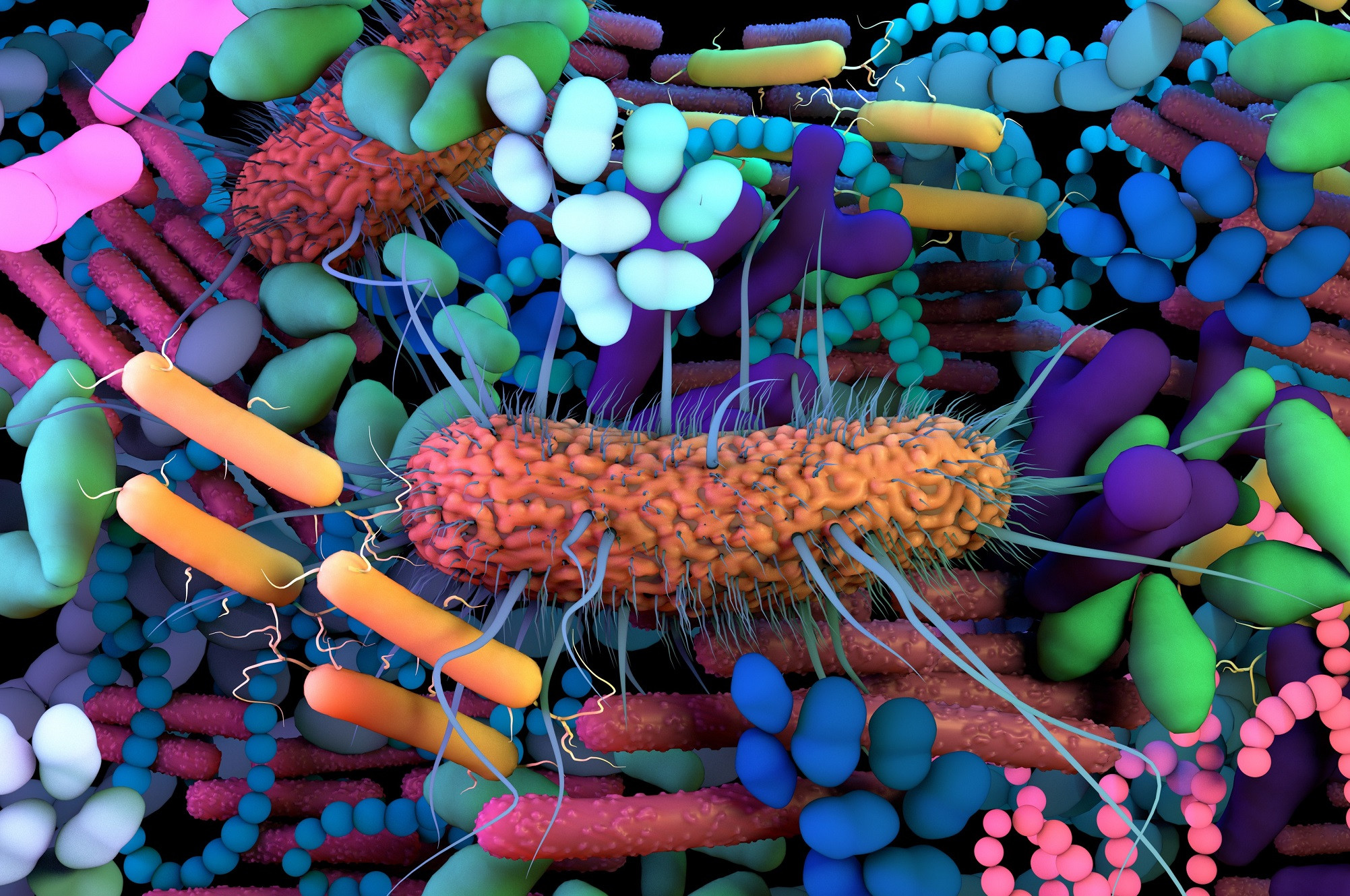 Bunte Bakterien im Mikrobiom, visualisiert für Kyber Mikrobiom Diagnostik