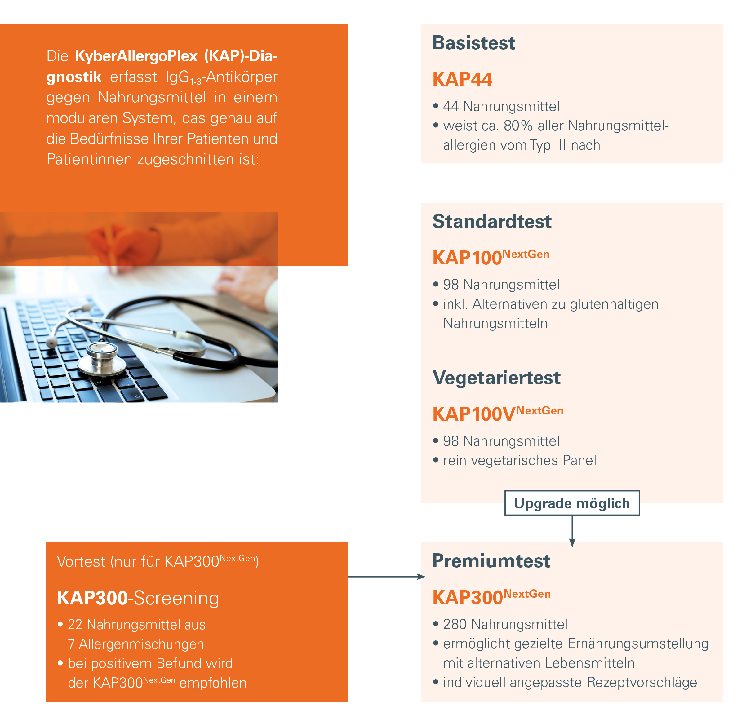 Übersichtsgrafik zu KyberAllergoPlex (KAP) NextGen Diagnostik mit den Testvarianten KAP44, KAP100NextGen, KAP100VNextGen und KAP300NextGen sowie KAP300-Screening.