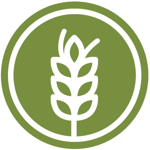 Symbol für die ballaststoffe-abbauende Mikrobiota mit Getreideähre auf grünem Hintergrund