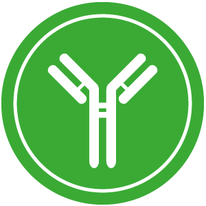 Symbol fr die immunmodulierende Mikrobiota und deren Einfluss auf das Immunsystem