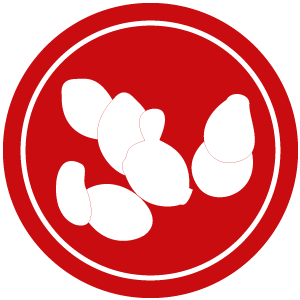 Illustration von Hefen und Schimmelpilzen auf rotem Hintergrund