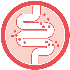 Grafische Darstellung von Permeabilitätsmarkern im Darm