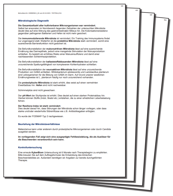 Mikrobiologische Diagnostik und Befundbeschreibung eines medizinischen Gutachtens mit Hinweisen auf Fehlbesiedlung, Mikrobiota und Kontrolluntersuchung.
