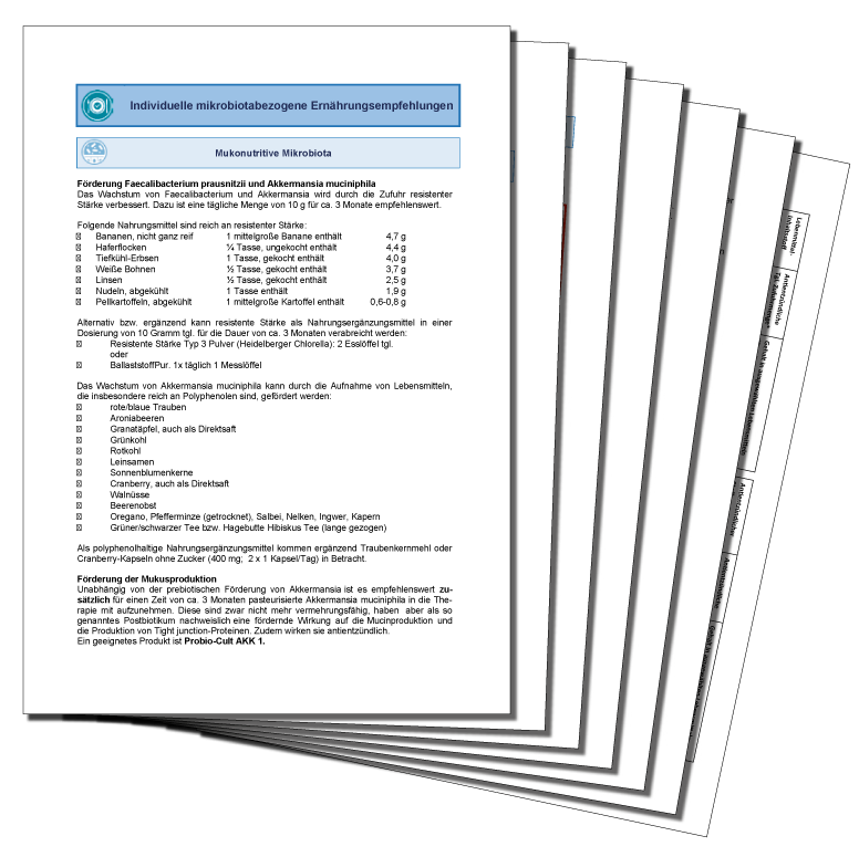 Individuelle mikrobiotabezogene Ernährungsempfehlungen als mehrseitiges Dokument
