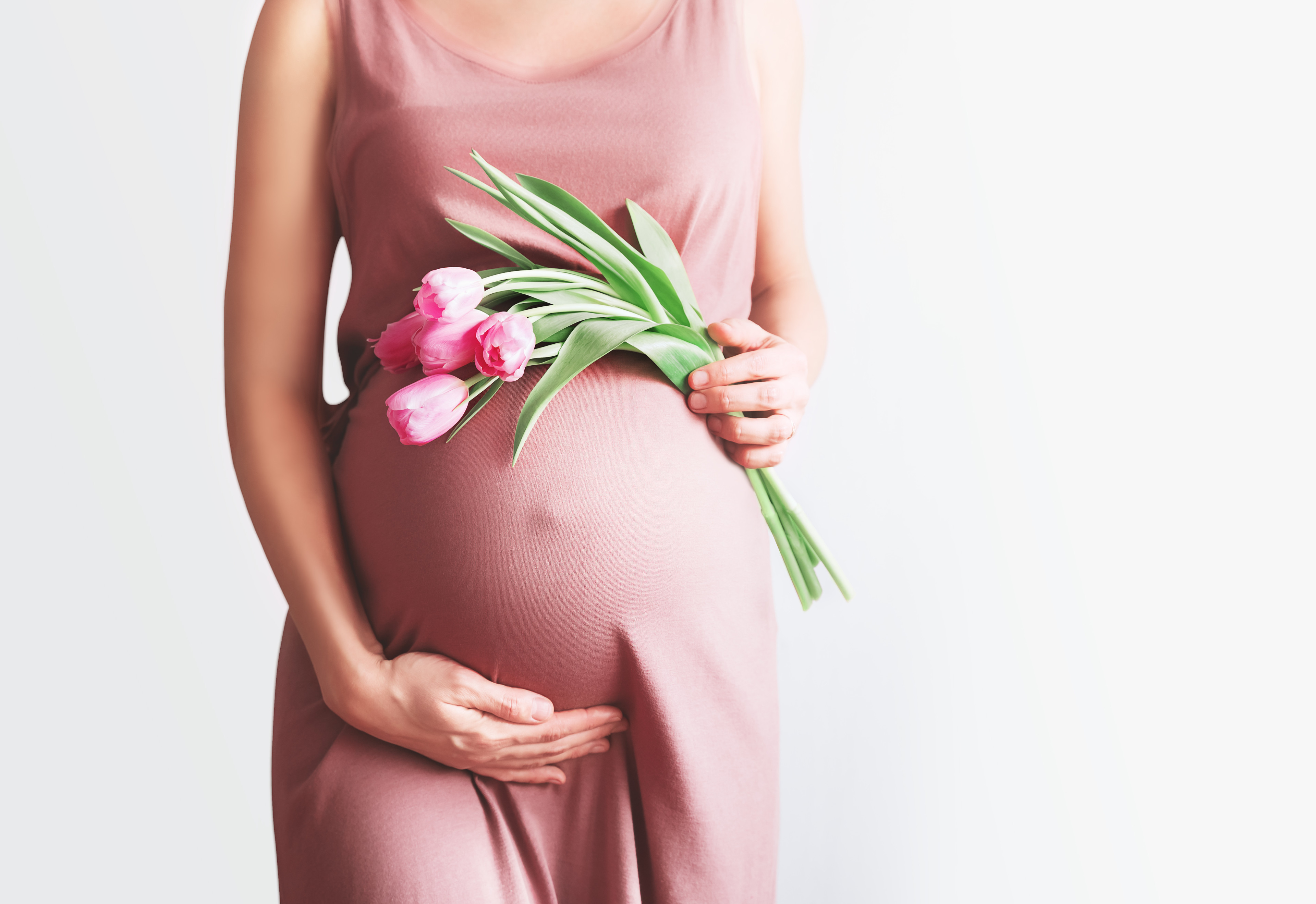 adobestock-408297891: Schwangere Frau mit rosa Kleid und Tulpen in der Hand