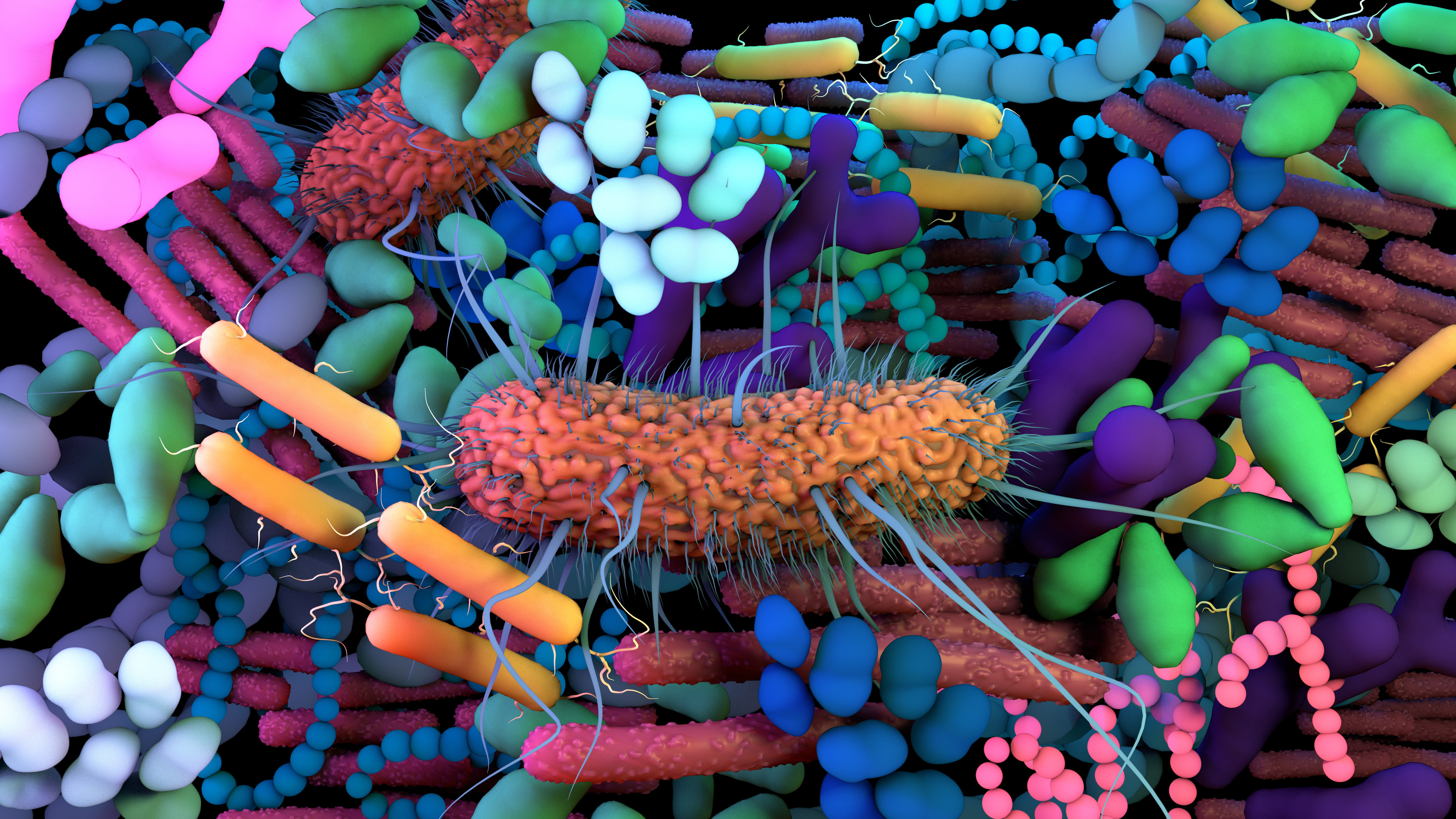 3D-Darstellung der funktionellen Mikrobiota bei Obstipation auf der Innenseite rechts, verschiedene Bakterienarten in Nahaufnahme