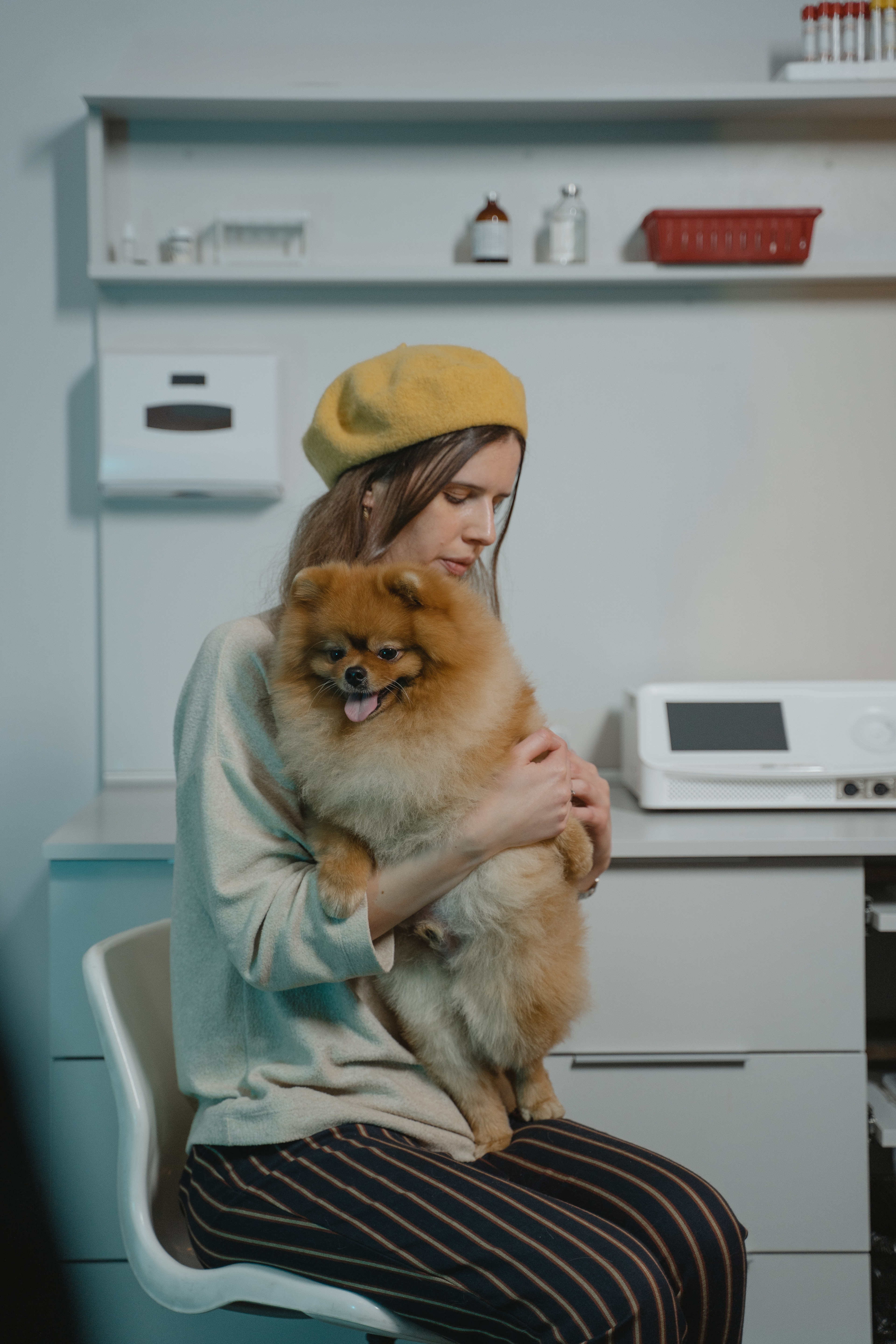 Senioren-Check beim Hund in der Tierarztpraxis